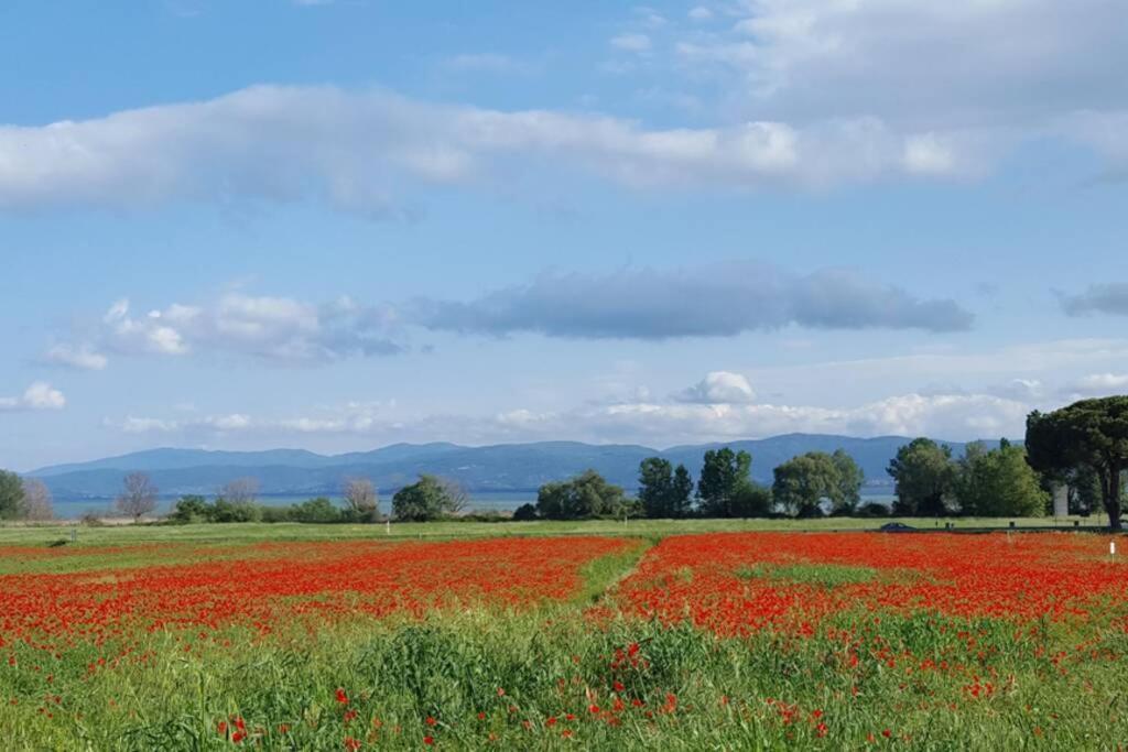 Ferienwohnung Bellavista La Tua Romantica Vacanza Sul Trasimeno Castiglione del Lago Exterior foto