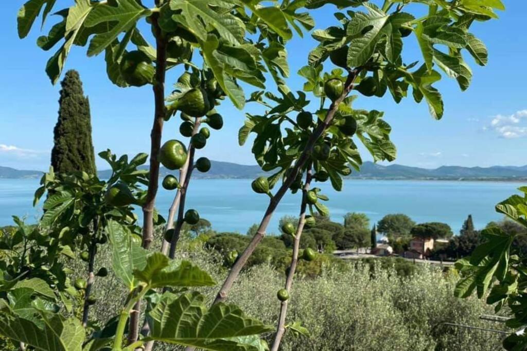 Ferienwohnung Bellavista La Tua Romantica Vacanza Sul Trasimeno Castiglione del Lago Exterior foto