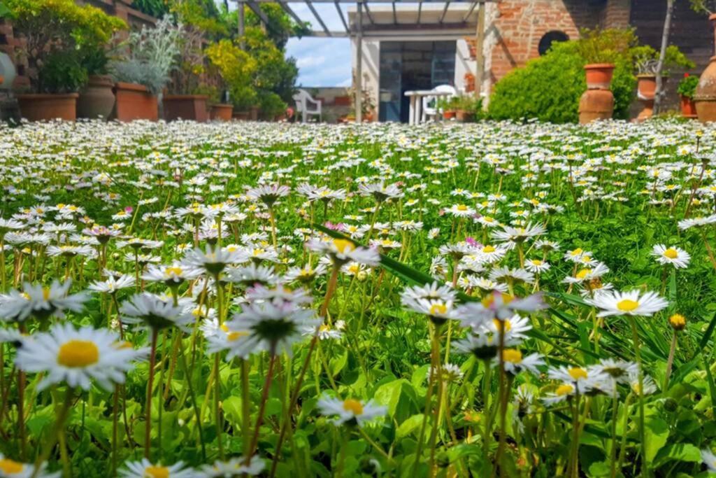 Ferienwohnung Bellavista La Tua Romantica Vacanza Sul Trasimeno Castiglione del Lago Exterior foto