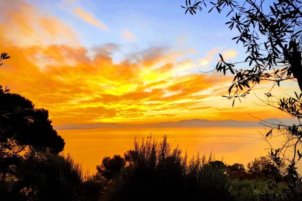 Ferienwohnung Bellavista La Tua Romantica Vacanza Sul Trasimeno Castiglione del Lago Exterior foto