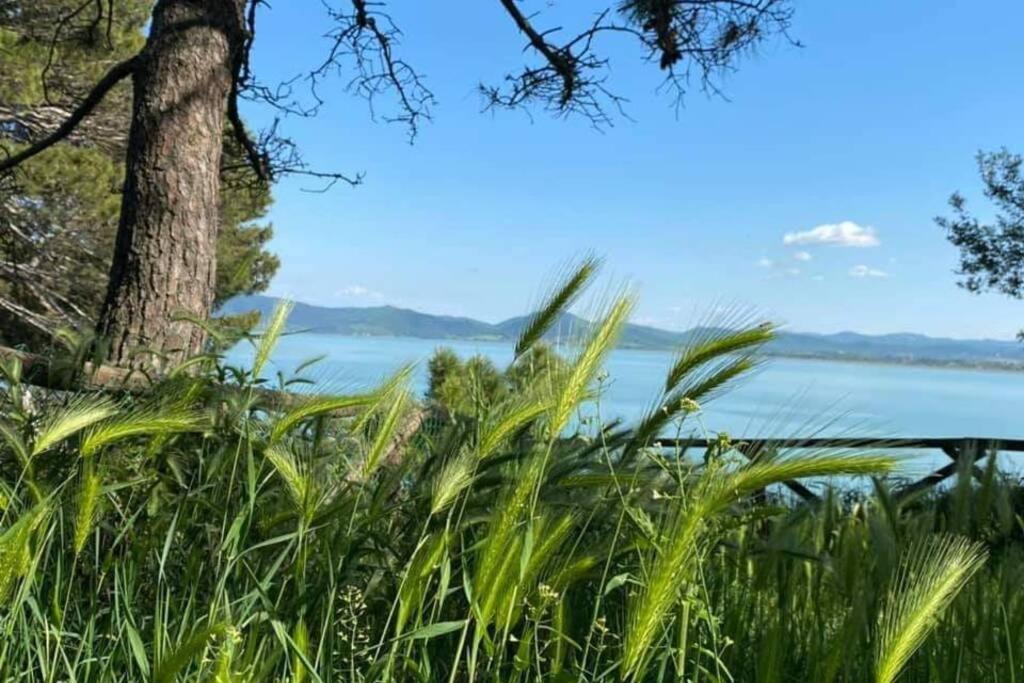 Ferienwohnung Bellavista La Tua Romantica Vacanza Sul Trasimeno Castiglione del Lago Exterior foto