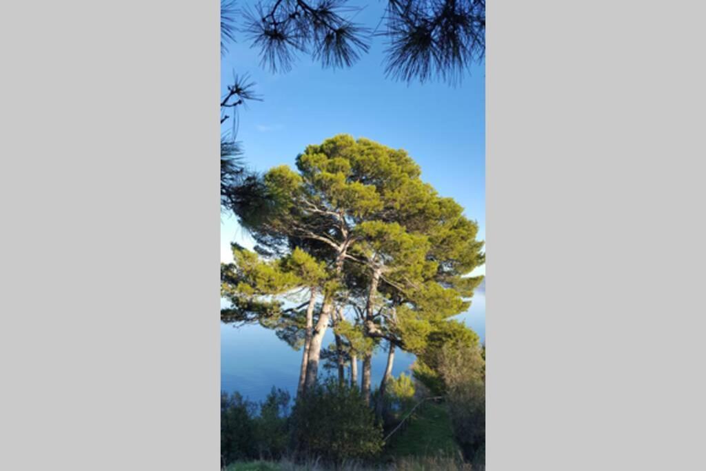 Ferienwohnung Bellavista La Tua Romantica Vacanza Sul Trasimeno Castiglione del Lago Exterior foto