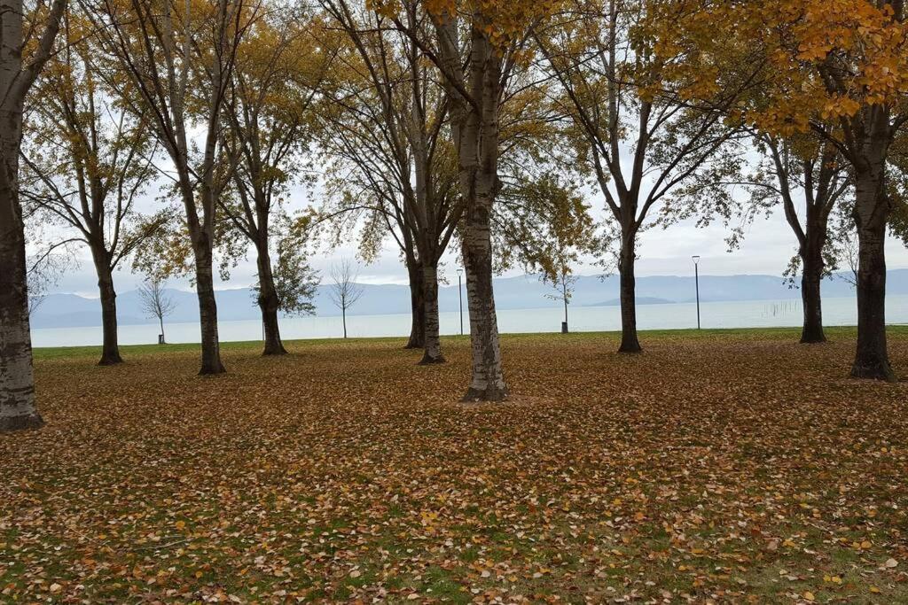 Ferienwohnung Bellavista La Tua Romantica Vacanza Sul Trasimeno Castiglione del Lago Exterior foto