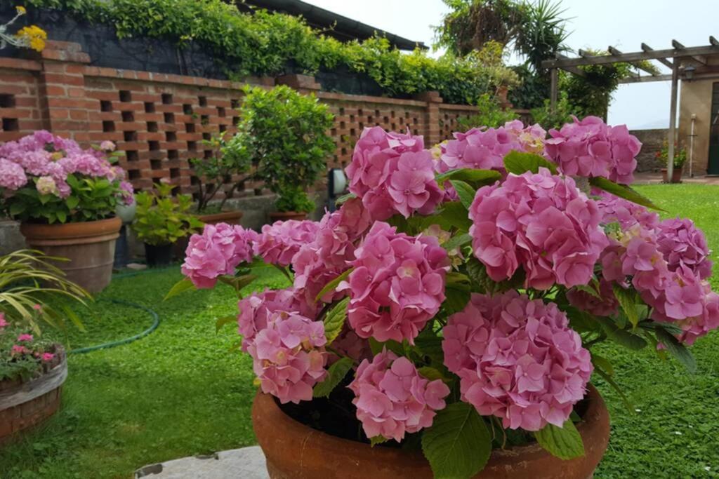 Ferienwohnung Bellavista La Tua Romantica Vacanza Sul Trasimeno Castiglione del Lago Exterior foto