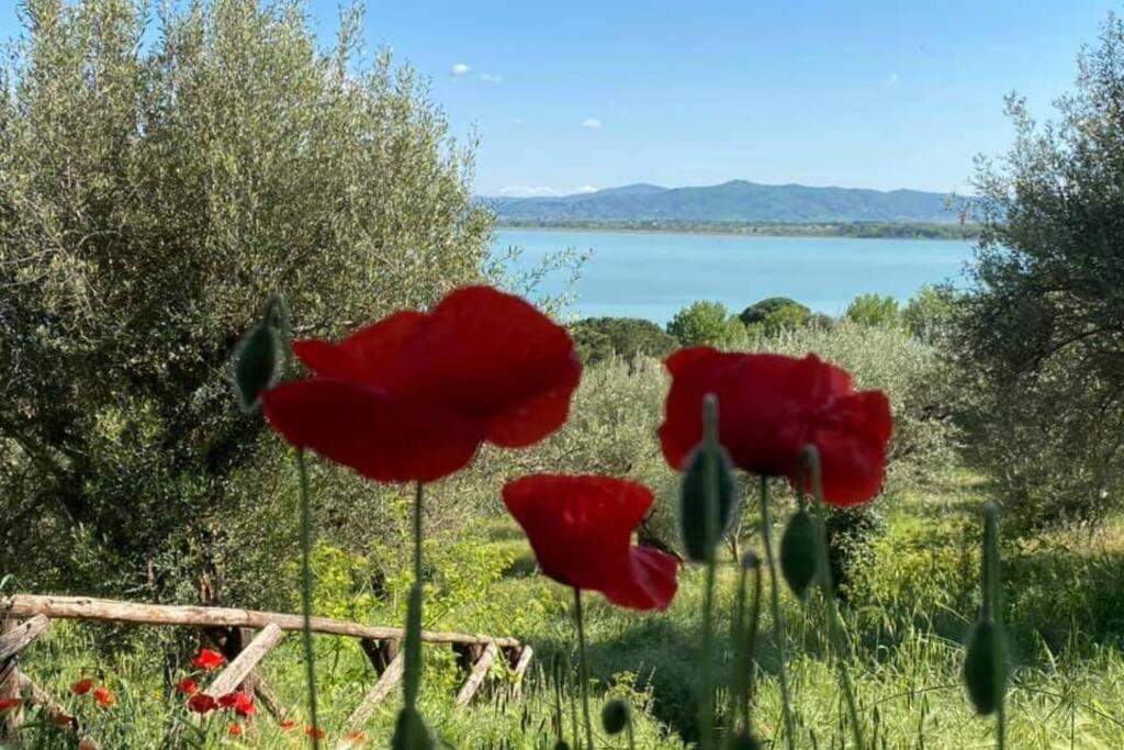 Ferienwohnung Bellavista La Tua Romantica Vacanza Sul Trasimeno Castiglione del Lago Exterior foto