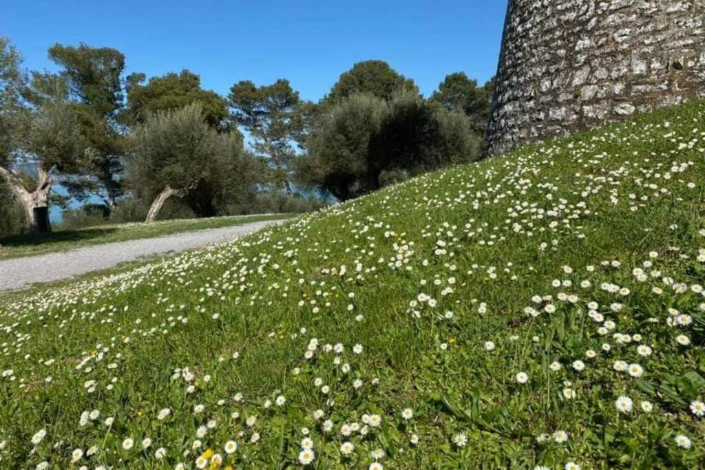 Ferienwohnung Bellavista La Tua Romantica Vacanza Sul Trasimeno Castiglione del Lago Exterior foto