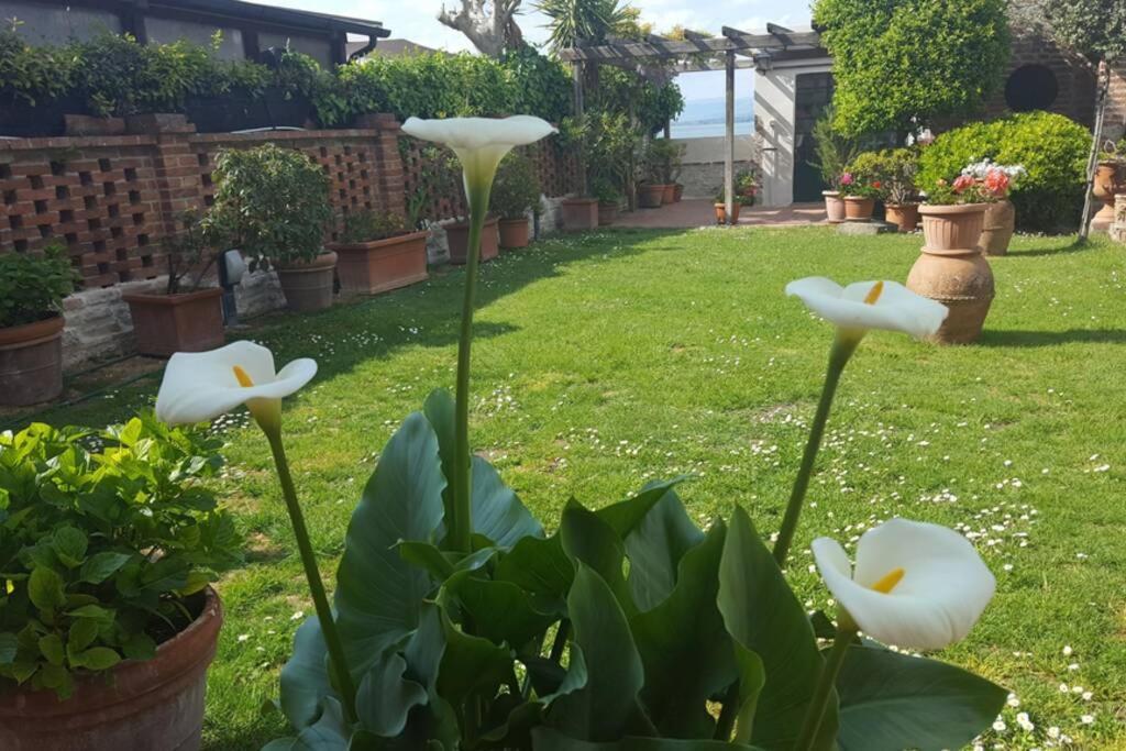 Ferienwohnung Bellavista La Tua Romantica Vacanza Sul Trasimeno Castiglione del Lago Exterior foto