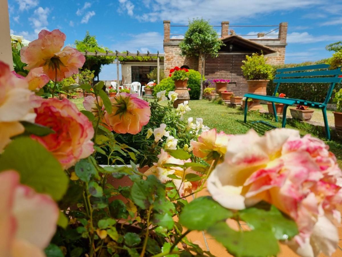 Ferienwohnung Bellavista La Tua Romantica Vacanza Sul Trasimeno Castiglione del Lago Exterior foto